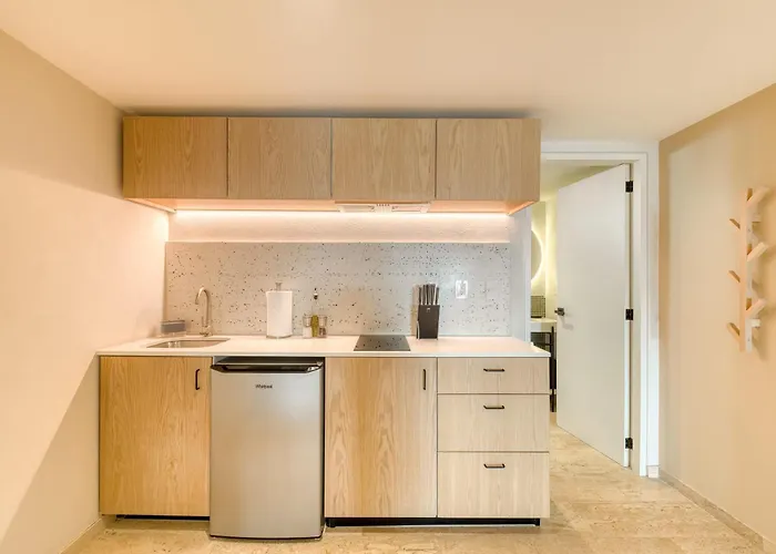 Qro 701 Apartment Mexico City